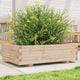 Vidaxl Planning Box 90x60x26.5 cm de pino sólido