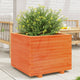 Vidaxx macetero 60x60x49,5 cm madera maciza de pino, marrón lavado