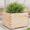 VidaXL Plantenbak 70x70x49,5 cm massief grenenhout
