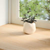 Vidaxl vensterbanken 2 st onbehandeld 140x25x2 cm massief eikenhout