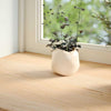 Sills de ventana Vidaxl 2 st sin tratar 120x30x2 cm de roble sólido