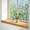 Vidaxl Sills 2 ST 70x30x2 CM Oak Solid Light Brown