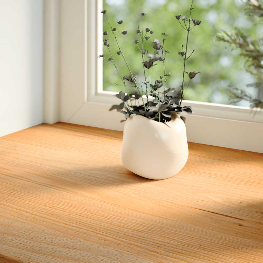 Vidaxl Sills 2 PCS 160x40x2 cm de roble sólido marrón claro