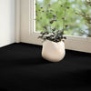 Vidaxl Finestra Soli percorsi 2 PC 160x20x2 cm Oakwwout Solido marrone scuro