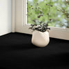 Vidaxl Sills 2 PCS 110x30x2 CM Oak Solid Wood marrón oscuro