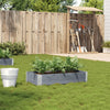 Vidaxl Planning Box 100x50 cm Solid Pine Gray