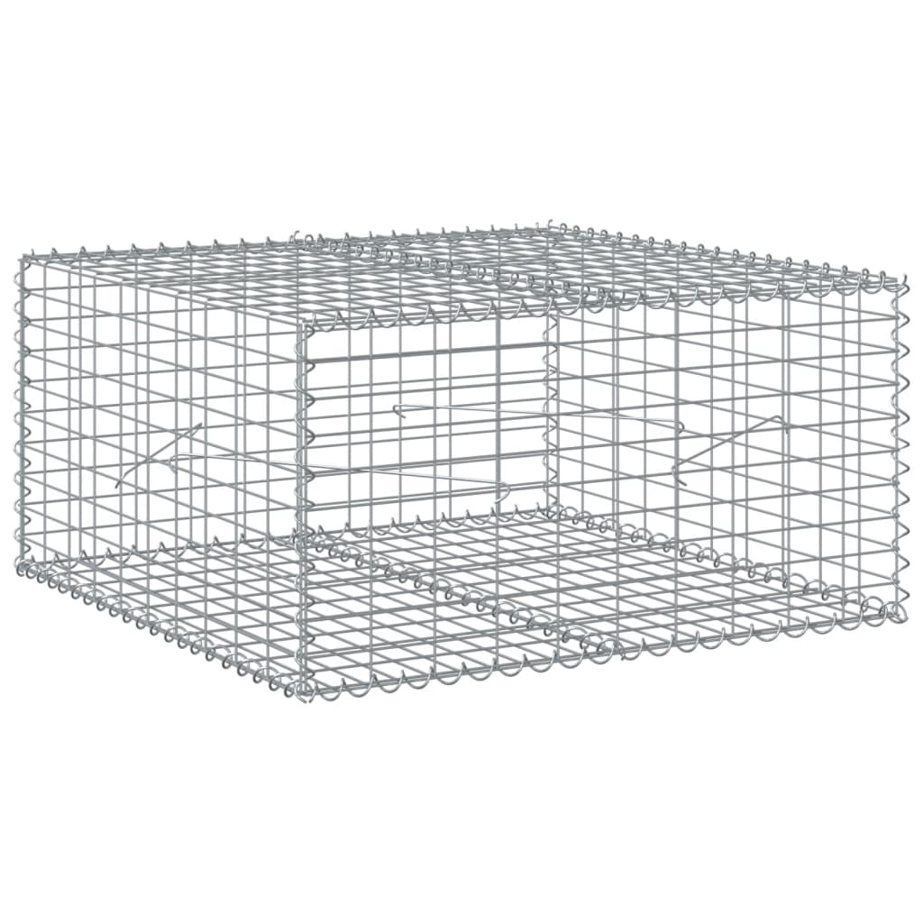 Vidaxl Schanskorf 100x100x50 cm de hierro galvanizado de color plateado