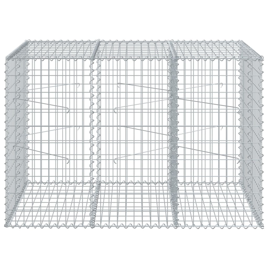 Vidaxl Schanskorf 150x100x100 cm in argento galvanizzato colorato