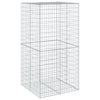 Vidaxl Schanskorf 100x100x200 cm in argento galvanizzato colorato