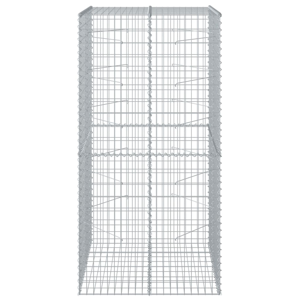 Vidaxl Schanskorf 100x100x200 cm in argento galvanizzato colorato