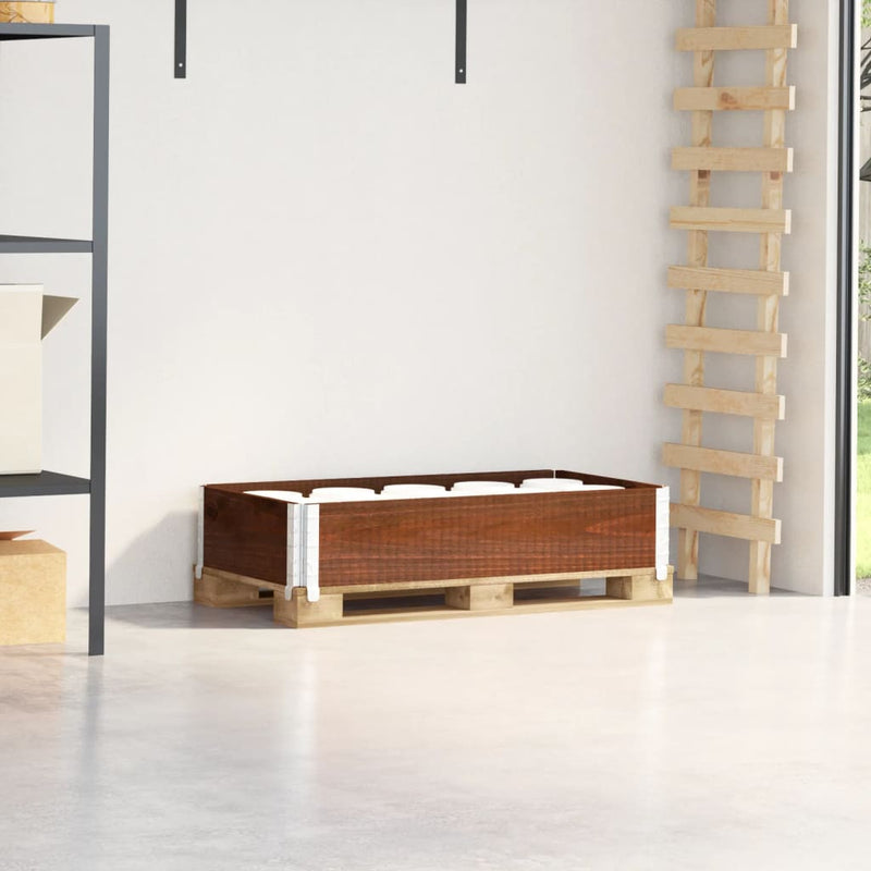 Vidaxl Palletopzetrand 100x50 cm Pinna solido marrone