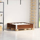 Vidaxl Palletopzetrand 100x100 cm de pino sólido marrón