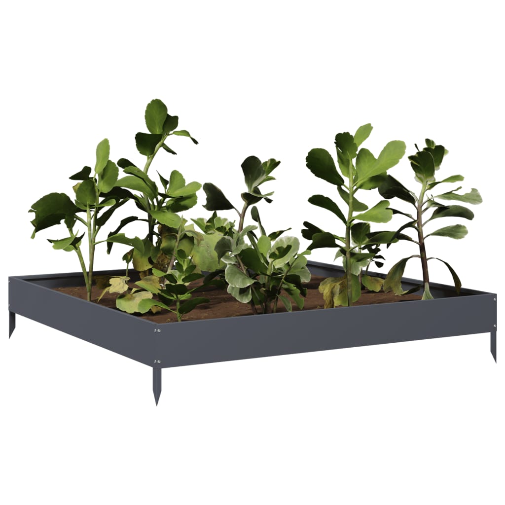 Vidaxl Planter Insertar 100x100x18.5 cm de acero antracita