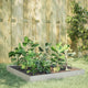 Plantador Vidaxl elevado 100x100x18.5 cm de acero inoxidable