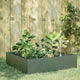 Plantador Vidaxl elevado 100x100x25 cm de acero verde de acero verde