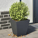 Plantadores Vidaxl 2 ST 30x30x30 cm de acero antracita