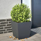 Vidaxl Planning Box 40x40x40 cm de acero antracita
