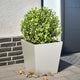 Vidaxl Plant Bench 40x40x40 cm de acero inoxidable
