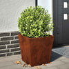 Vidaxl plantenbak 40x40x40 cm weervast staal