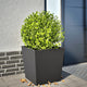 Vidaxl Planning Box 50x50x50 cm de acero negro