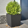 Plantadores Vidaxl 2 ST 50x50x50 cm de acero negro