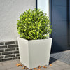 Vidaxl Planning Box 50x50x50 cm de acero blanco