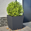 Vidaxl Fioters 2 ST 50x50x50 cm in acciaio antracite