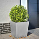Vidaxl Planning Box 50x50x50 cm de acero galvanizado