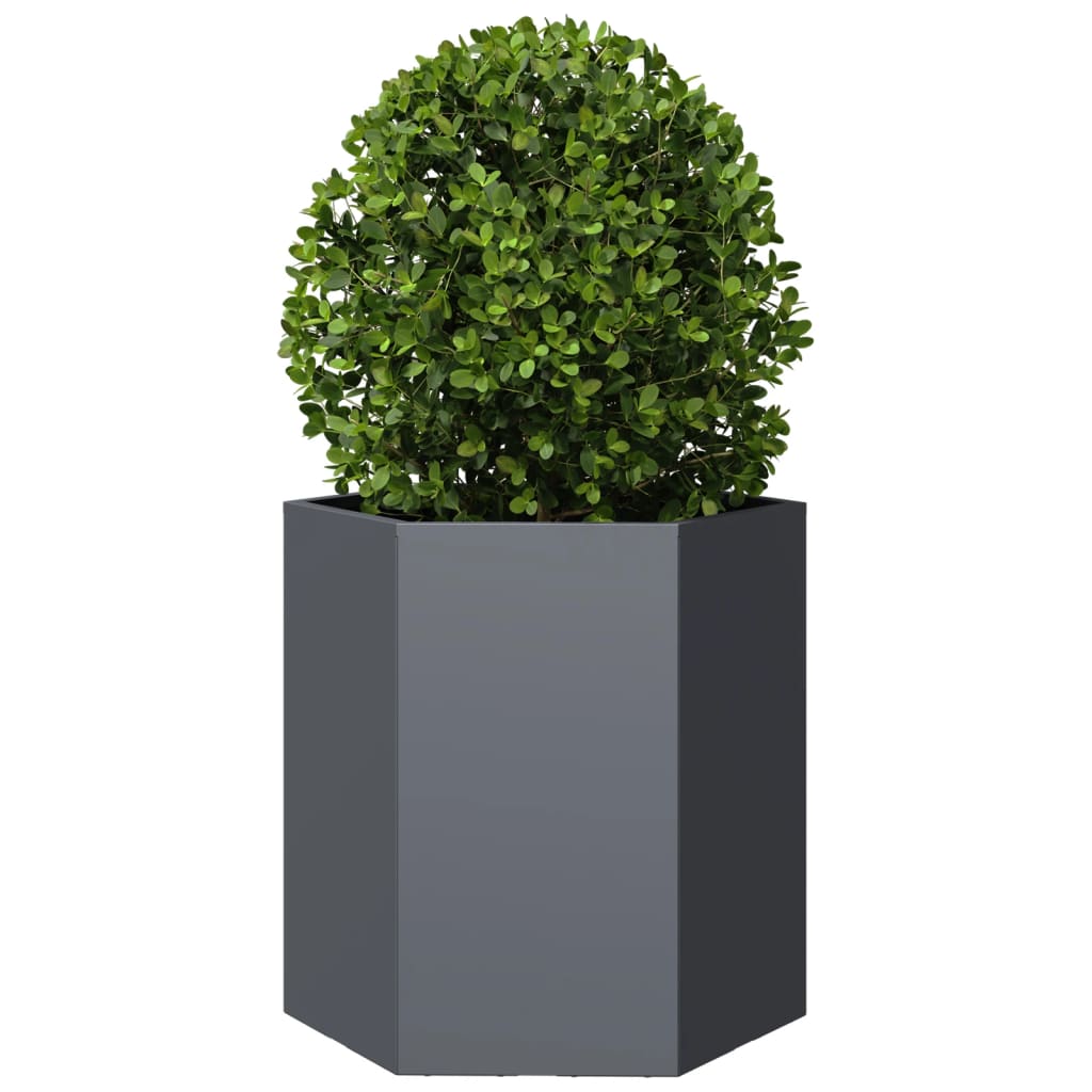 Vidaxl Plannet Hexagon 46x40x45 cm de acero antracita
