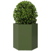 Vidaxl Plannet Hexagon 46x40x45 cm de oliva de acero verde