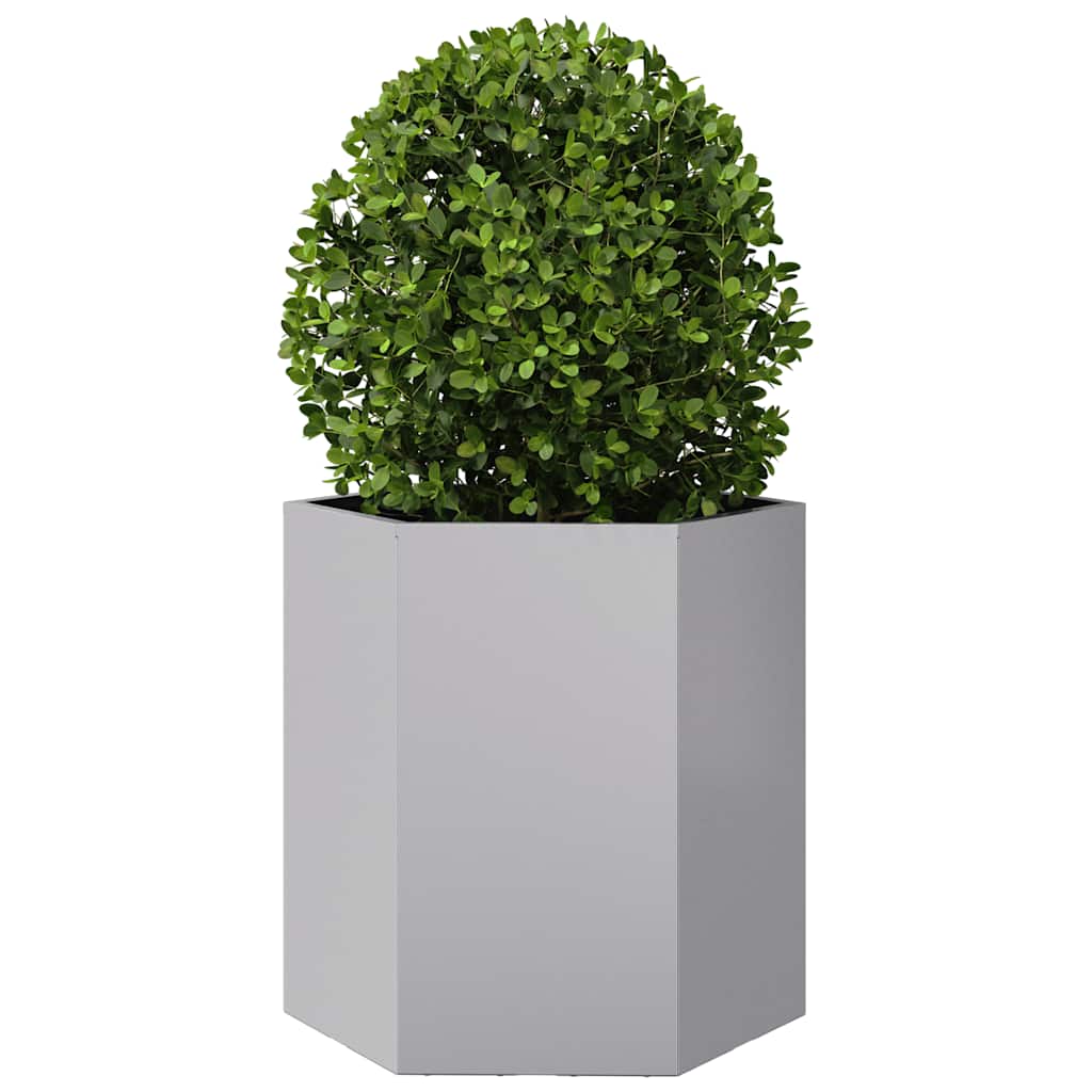 Vidaxl Plannet Hexagon 46x40x45 cm de acero galvanizado