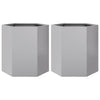 Vidaxl Fioters 2 St Hexagon 46x40x45 cm Galvanized Steel