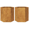Plantadores Vidaxl 2 St Hexagon 46x40x45 cm de acero meteorológico