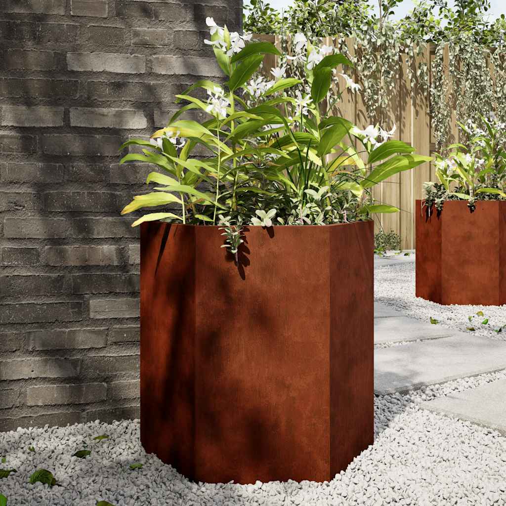 Vidaxl Planners 2 St Esagono 46x40x45 cm Acciaio meteorologico