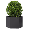 Vidaxl fioriera Benket esagono 69x60x45 cm in acciaio nero