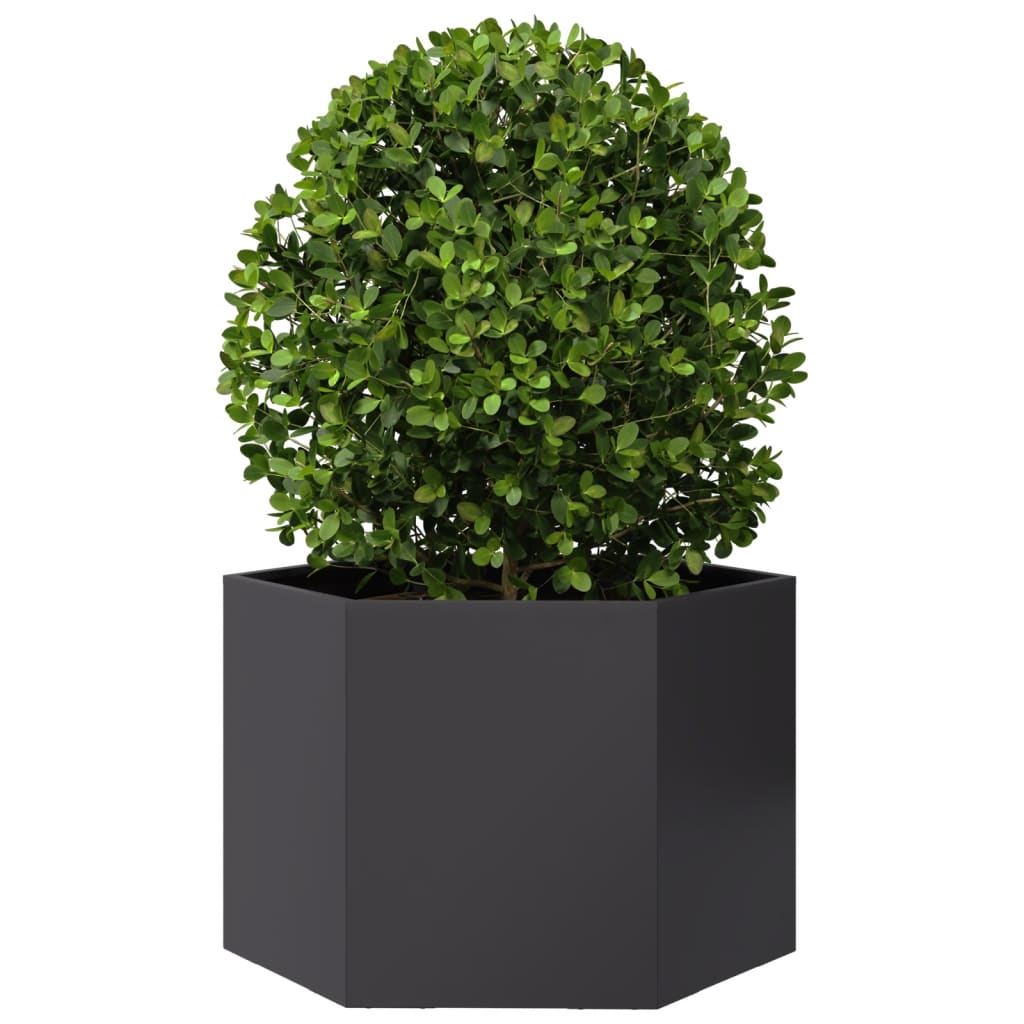 Vidaxl Planter Benket Hexagon 69x60x45 cm de acero negro
