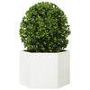 Vidaxl Plannet Hexagon 69x60x45 cm de acero blanco