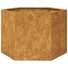 Vidaxl plantenbak zeshoek 69x60x45 cm weervast staal