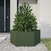 Vidaxl Plannet Hexagon 104x90x45 cm de oliva de acero verde