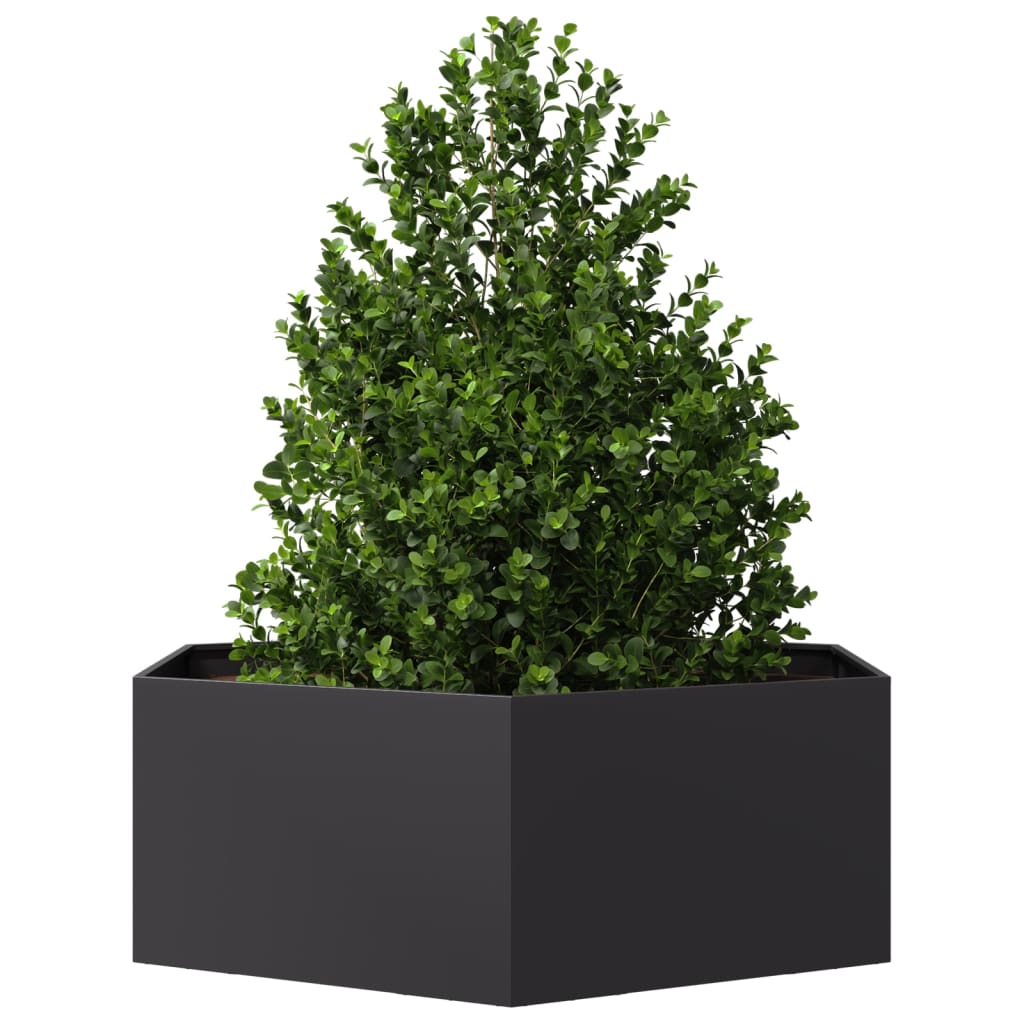 Vidaxl Plantador Benket Hexagon 138x120x45 CM de acero negro