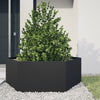 Vidaxl Plantador Benket Hexagon 138x120x45 CM de acero negro
