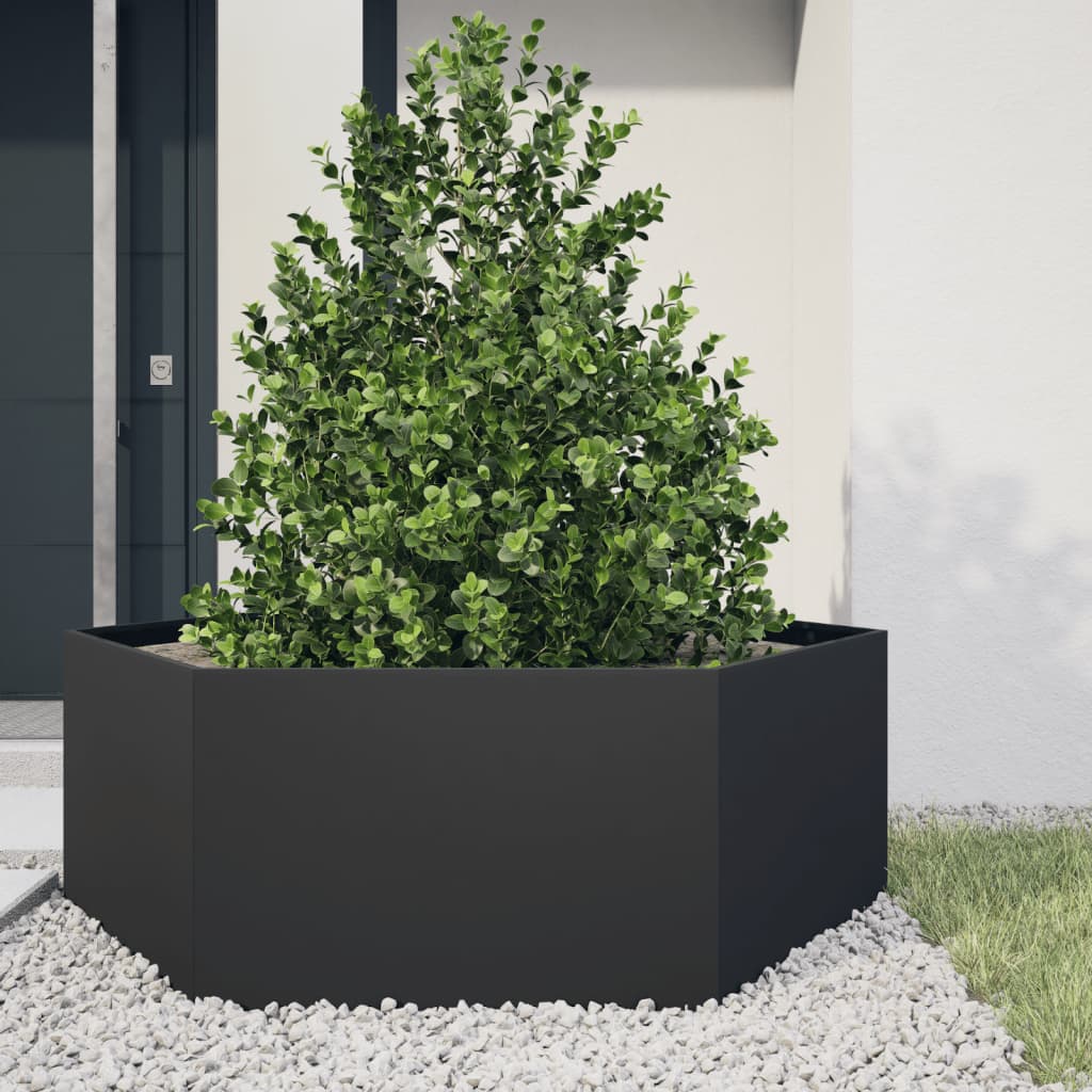 Vidaxl Plantador Benket Hexagon 138x120x45 CM de acero negro