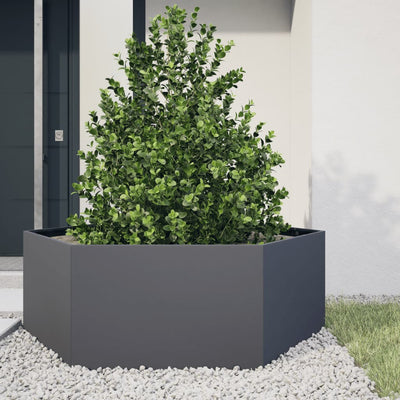 Vidaxl fioriera Benket esagono 138x120x45 cm in acciaio antracite -lorato