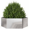 Vidaxl plantenbak zeshoek 138x120x45 cm roestvrijstaal