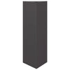 Vidaxl Planter Triangle 30x26x75 cm de acero negro