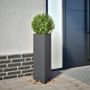 Plantadores Vidaxl 2 st triangle 30x26x75 cm de acero antracita