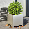 Vidaxl Planning Box 30x30x30 cm de acero inoxidable