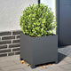Vidaxl Planning Box 40x40x40 cm de acero antracita