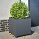 Vidaxl Planning Box 50x50x50 cm de acero antracita
