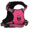 VIDAXL CANCHE DEL CANE con strisce riflettenti regolabili m rosa